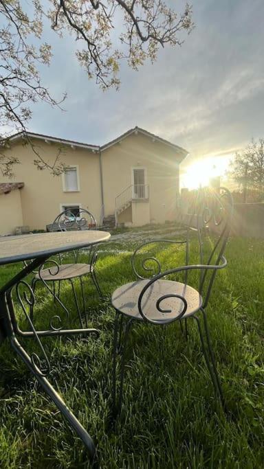 5 Mn Vienne, Confort Et Calme A La Campagne Reventin-Vaugris Bagian luar foto